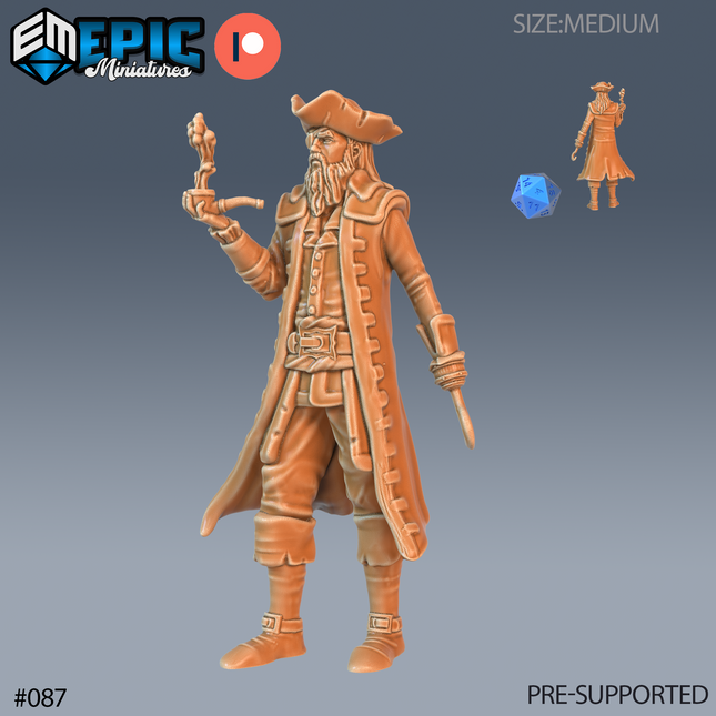 Z087 - Pirate Captain Hook
