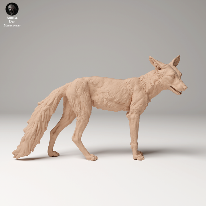 Adm2008 Red Fox X 3 Animal