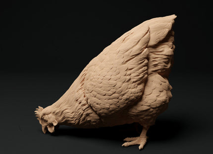 ADM1001 Roosters and Chickens