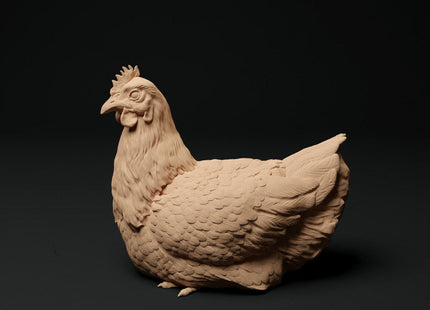 ADM1001 Roosters and Chickens