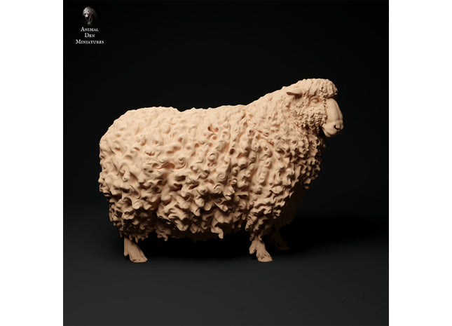 ADM1016 Devon and Cornwall Longwool Sheep and Ram Set