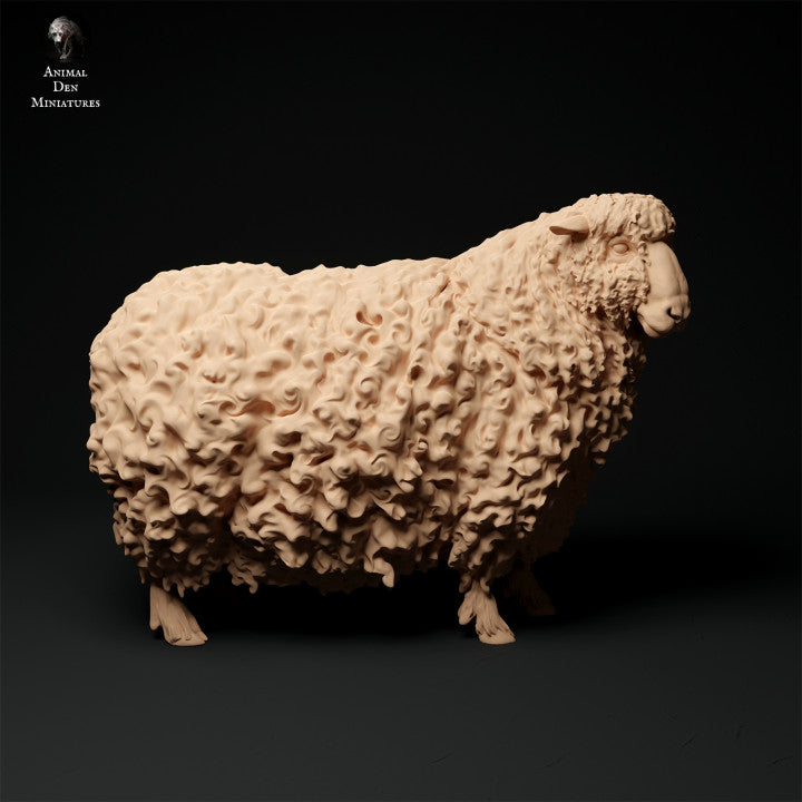 Adm1016 Devon And Cornwall Longwool Sheep Ram Set Animal