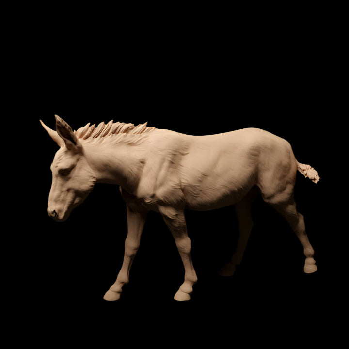 Adm1015 Common-Donkey X 2 Animal