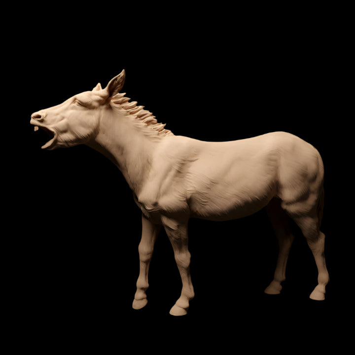 Adm1015 Common-Donkey X 2 Animal
