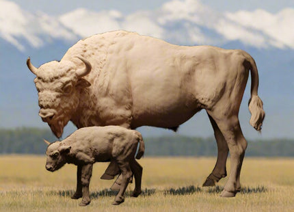 ADM1504 European Bison Cow and Calf