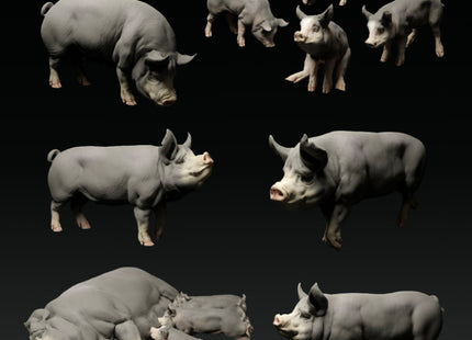 ADM101 Berkshire Pigs and Boar Set