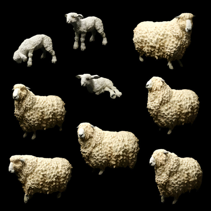 Adm1016 Devon And Cornwall Longwool Sheep Ram Set Animal