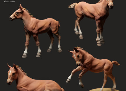 ADM1002 suffolk-punch-horse-foal-pack
