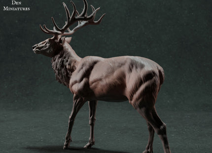 ADM020 Red Deer Stag x 1