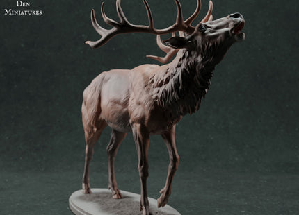 ADM021 Red Deer Stag Calling x 1