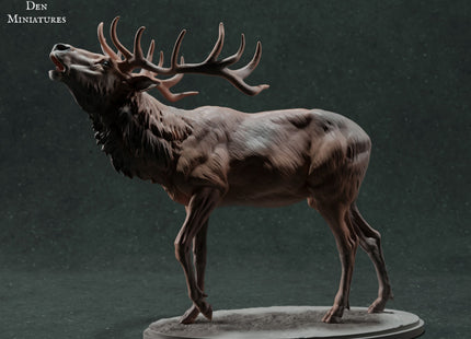 ADM021 Red Deer Stag Calling x 1