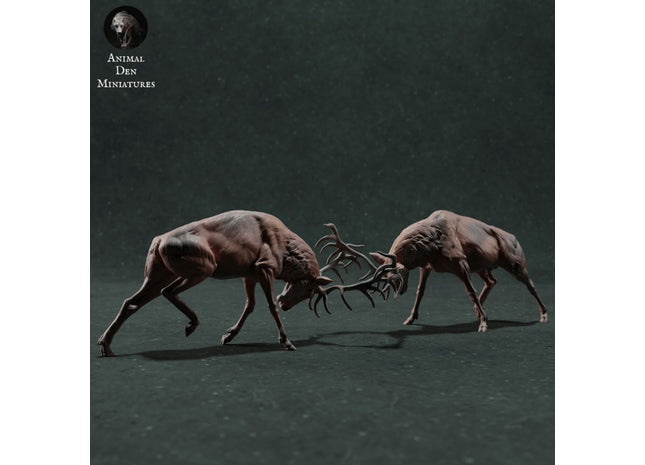 ADM022 1:76 Red Deer Stag Fighting