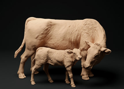 ADM1005 red-devon-cow-with-calf