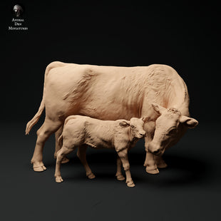 ADM1005 red-devon-cow-with-calf