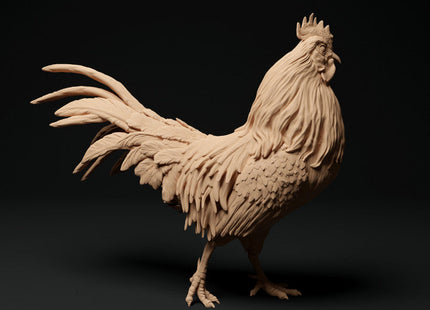 ADM1001 Roosters and Chickens
