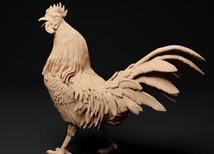 ADM1001 Roosters and Chickens