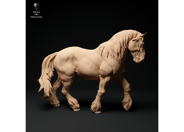 ADM003 Suffolk punch horse walking
