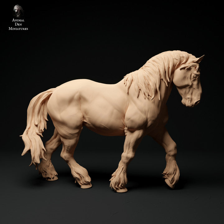 Adm003 Suffolk Punch Horse Walking Animal