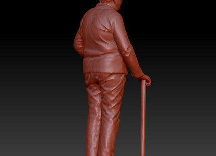 Older Female Standing With Walking Stick Dsp017 Figure