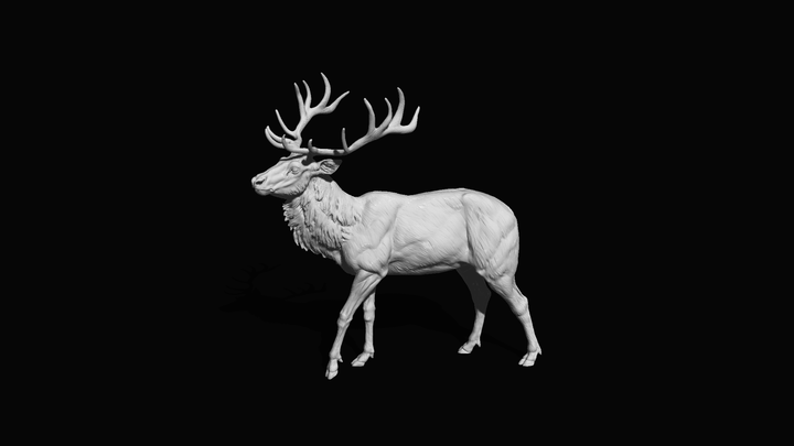 Adm020 Red Deer Stag X 1 Animal