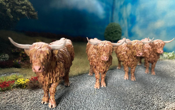 ADM1501 Highland Cow Standing licking nose