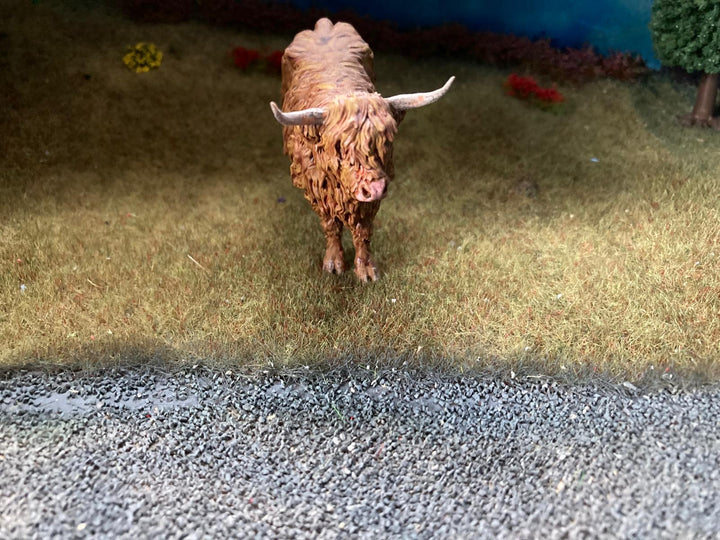 ADM1501 Highland Cow Standing licking nose