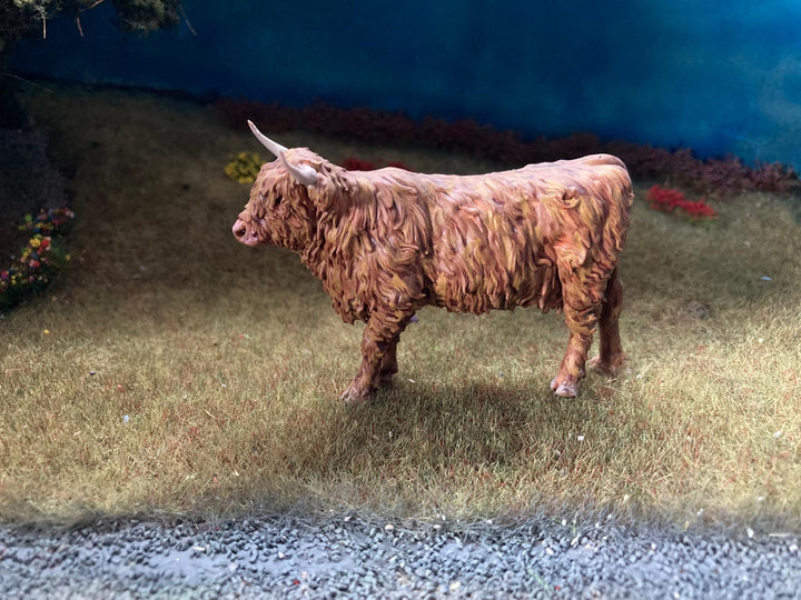 ADM1501 Highland Cow Standing licking nose