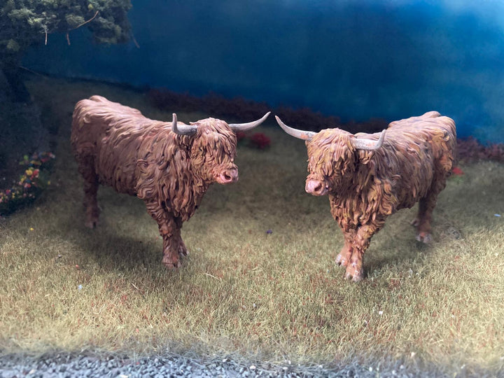 ADM1501 Highland Cow Standing licking nose