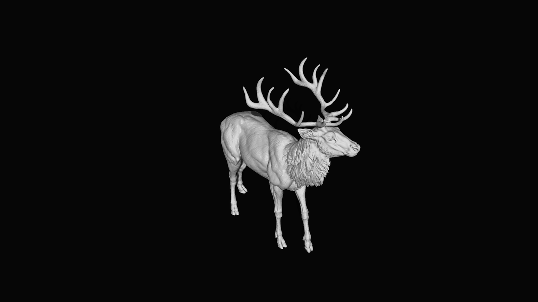 Adm020 Red Deer Stag X 1 Animal