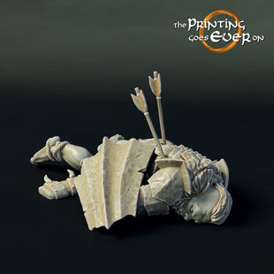 PGE 28mm Hall of the Ghost King Dead D