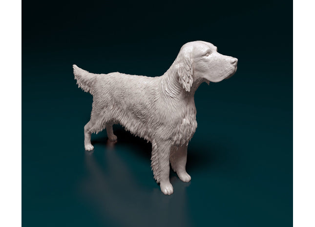 English Setter Standing Dog