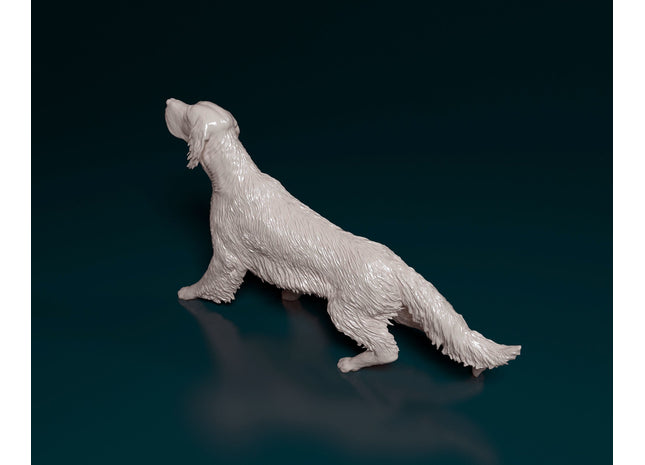 English Setter Dog