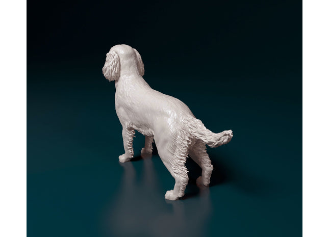Springer Dog