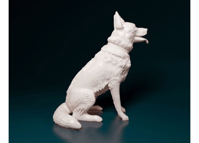 German Shepherd Sitting Dog