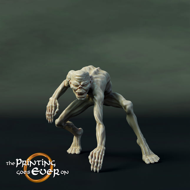 PGE 28mm Hall of the Ghost King Ghoul A
