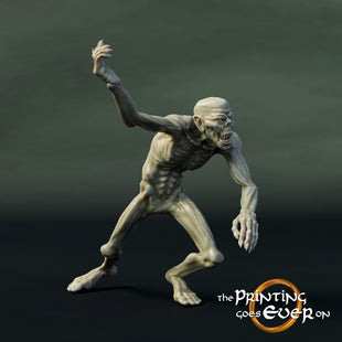 PGE 28mm Hall of the Ghost King Ghoul B