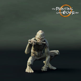 PGE 28mm Hall of the Ghost King Ghoul C