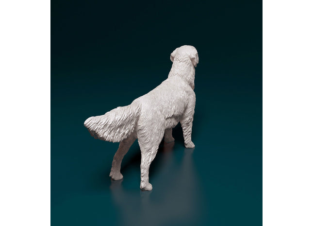 Golden Retriever Standing Dog