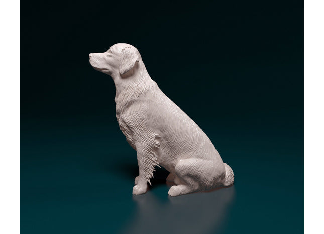 Golden Retriever Sitting Dog