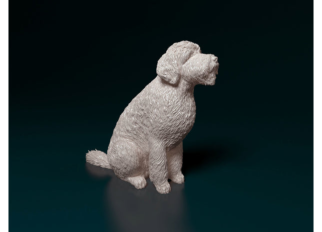 Goldendoodle Dog
