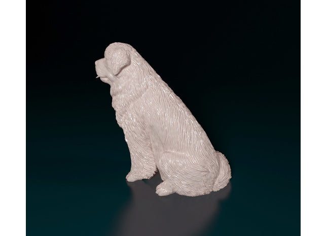 Newfoundland Sitting Dog
