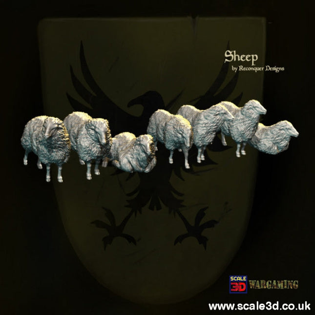 Sheep Medieval