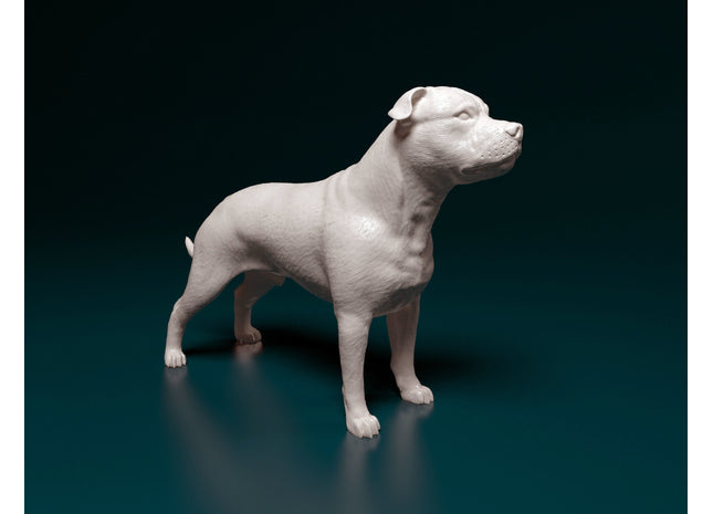 Staff Bull Terrier Standing Dog
