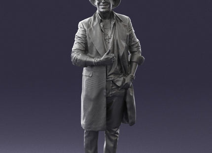 Stylish Male In Hat And Coat Figure