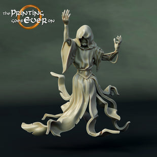PGE 28mm Hall of the Ghost King Wraith A
